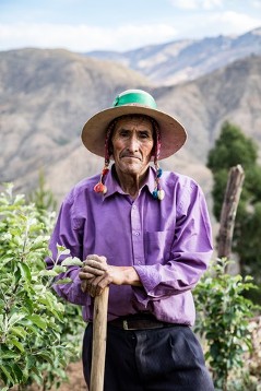 08.10.2018 Gemeinde Tapacari, Bolivien. Maurício García in seiner neu angelegten Apfelplantage.