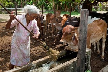 Teresa de Jesuas Ferreira da Silva ist 78 Jahre alt und arbeitet noch immer auf ihrem kleinen Bauernhof