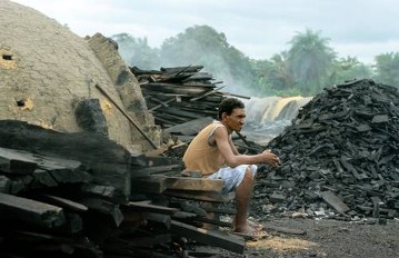 Brasilien, Pará, Carajás-Region
Holzkohleproduktion, Industrie Amazonien
Köhler bei Marabá