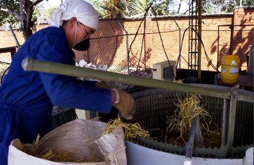 Arbeit durch Abfall
Frauen schaffen neue Perspektiven in den Bananenplantagen von Magdalena
JE K 15 / 15.Orihücha/Santa Marta/Projekt 'Recicla',Zentrifuge