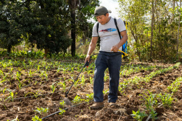 Luis Buac beim Spritzen des Feldes mit organischem Dünger